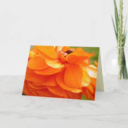 Het zonlicht van de ochtend kaart (Voorkant)