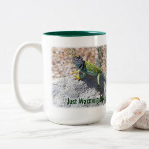 Het zonnebadende Kleurrijke Collared Reptiel van Tweekleurige Koffiemok