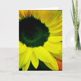 Het zonnige Lege Wenskaart van de Zonnebloem Kaart