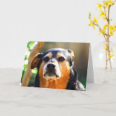 Het zonnige Wenskaart van het Kaart (Gele Bloem)