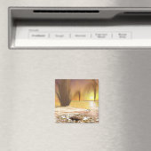 Het Zuidpoolijs van Martian Magneet (Insitu (Vaatwasser))