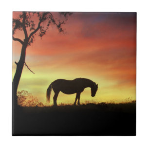 Het zuidwestelijke Paard van de Kleur in Tegeltje
