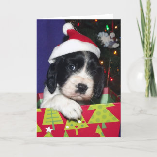 Het zwart-witte Engelse Spaniel Christma van de Feestdagen Kaart