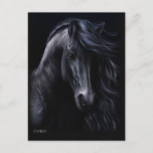 Het zwarte Briefkaart