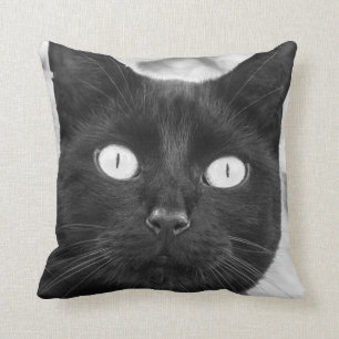 Het zwarte Gezicht van de Kat Kussen