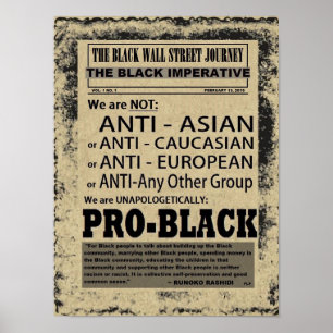 HET ZWARTE JOURNALE POSTER VAN DE STEL VAN DE WAL