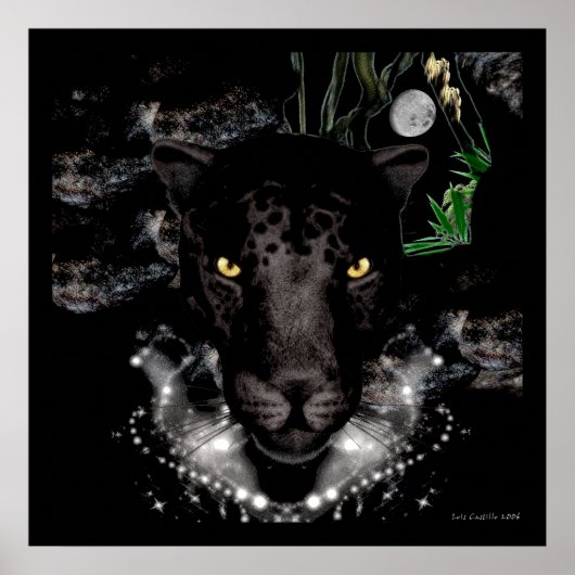 Het zwarte panter poster (Voorkant)