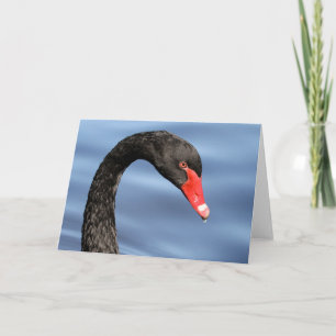 Het zwarte Wenskaart van de Schoonheid Kaart