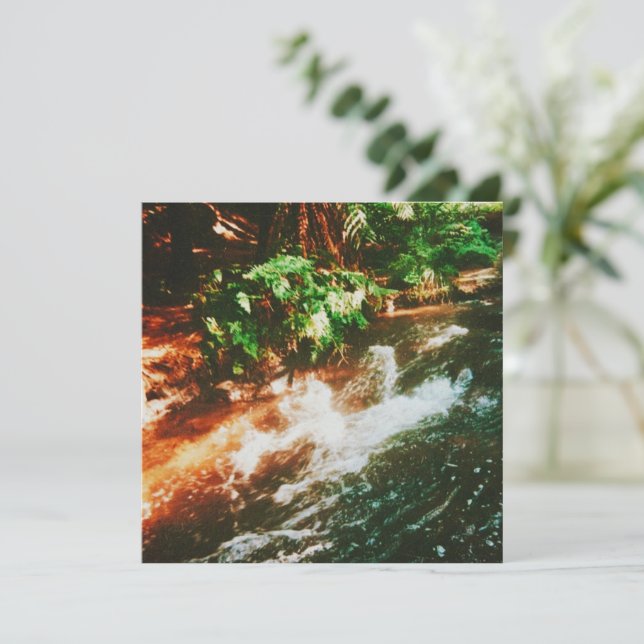 hete bron van Kerosene Creek (Staand voorkant)