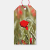 Hete papaver acrylverf cadeaulabel (Voorkant)