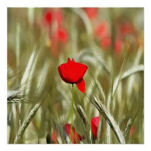 Hete papaver acrylverf perfect poster