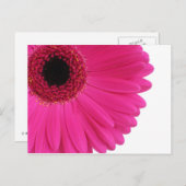 Hete Roze Gerbera Briefkaart (Voorkant / Achterkant)