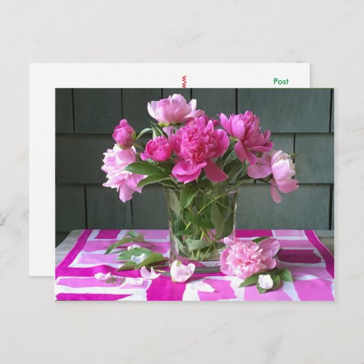 Hete roze pioenrozen op hete roze  zijden sjaal feestdagenkaart (Voorkant / Achterkant)