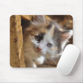 Heterochromia Calico Kitten Muismat (Met muis)