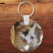 Heterochromia Calico Kitten Sleutelhanger (Voorkant)