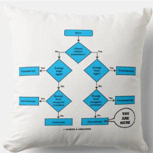 Heterotroph Flow Chart You are here Biology Humor Kussen