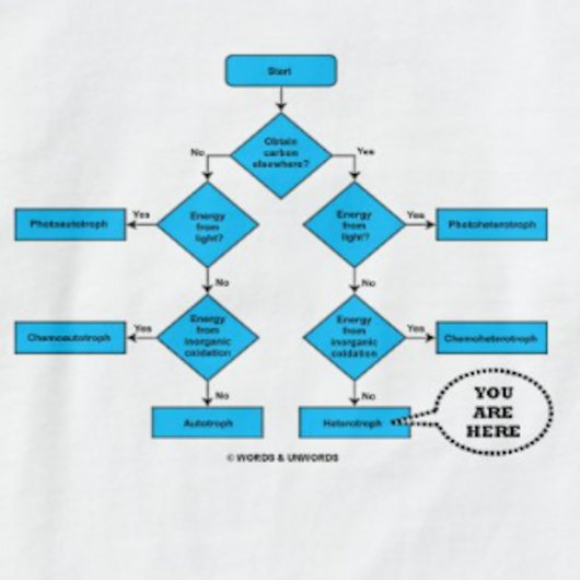 Heterotroph Flow Chart You are here Biology Humor T-shirt