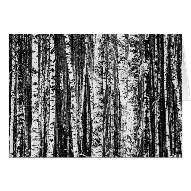 Hêtre, blanc et gris charbon / gris (Devant Horizontal)