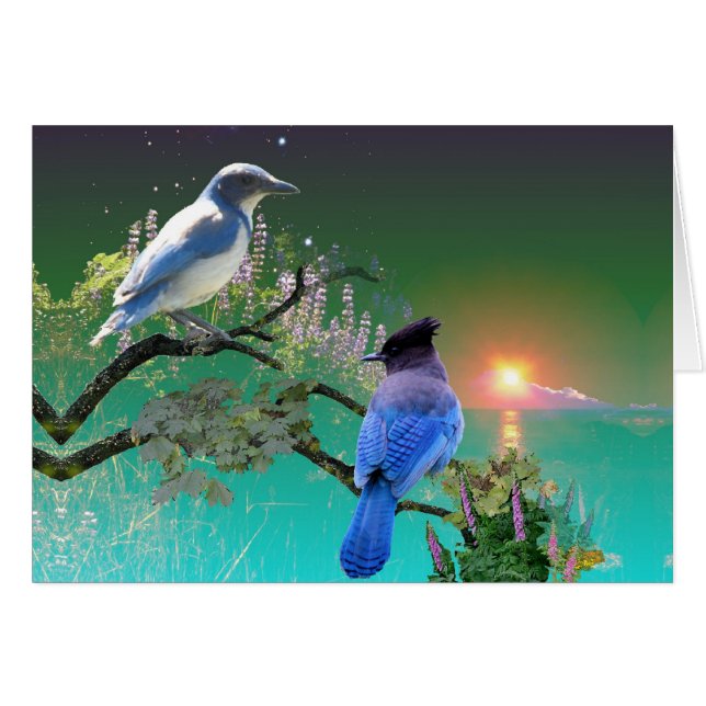 Hetzelfde en ander (Voorkant Horizontaal)