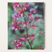 Heuchera Coral Bells Floral (Dos)