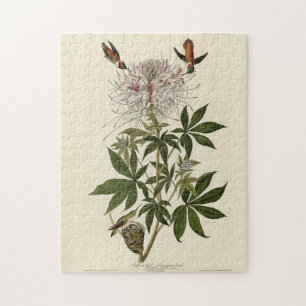 Heukhalsvogel, Audubon Birds of America Legpuzzel