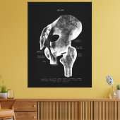 Heup Gewrichtsanatomie Medische Grote Canvaskunst Canvas Afdruk (Insitu (Woonkamer))