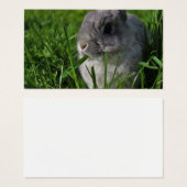 Heure de la collation (Devant & derrière)