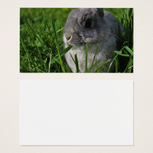 Heure de la collation (Devant & derrière)