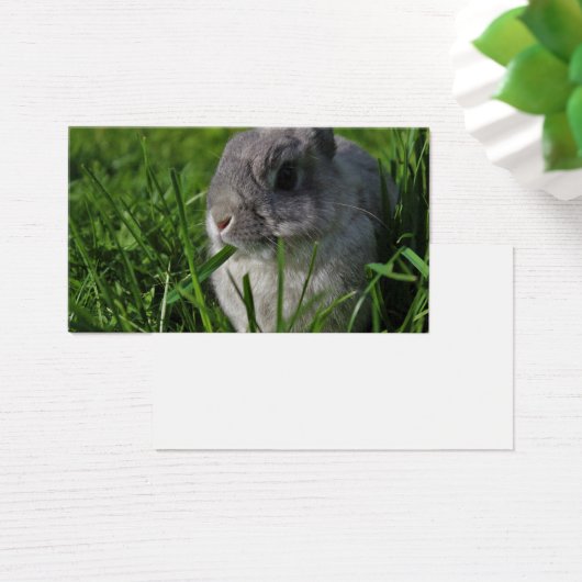 Heure de la collation (Bureau)