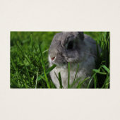 Heure de la collation (Devant)