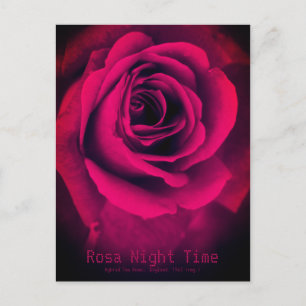 Heure de la nuit Rosa : Carte postale