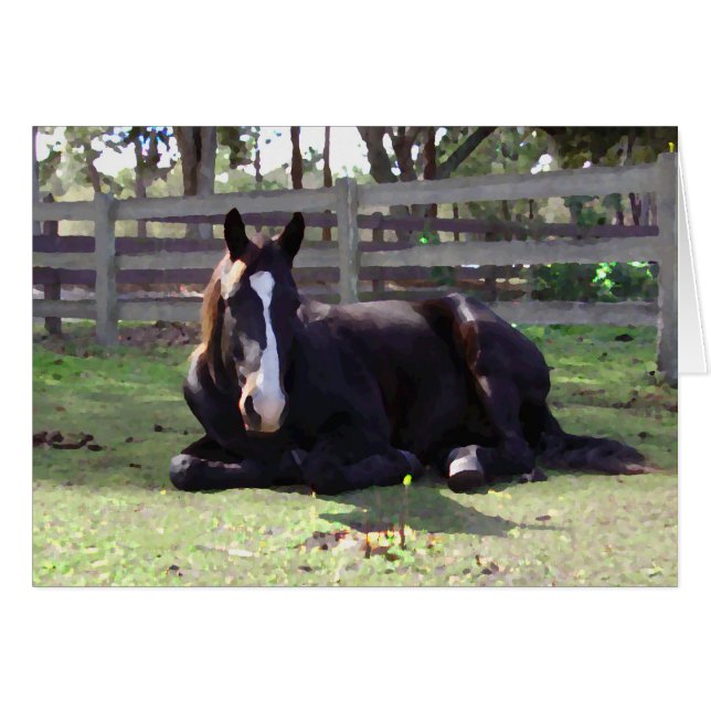 Heure de la sieste des chevaux (Devant horizontal)