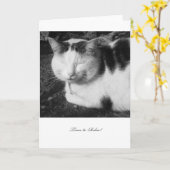 Heure de se détendre Chat - Carte de retraite vide (Fleur jaune)