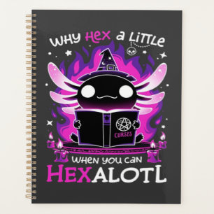 Heure de Sortie Axolotl - Salamandre