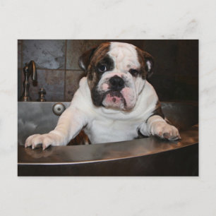 Heure du bain Carte postale