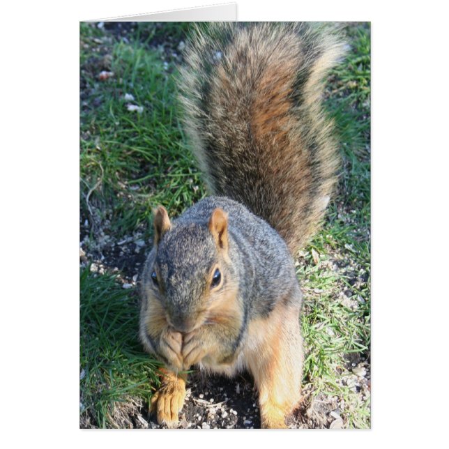 Heure du dîner (Devant)