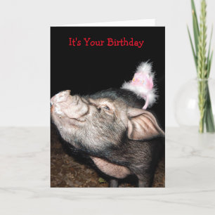 Heure du porc, carte d'anniversaire de porc