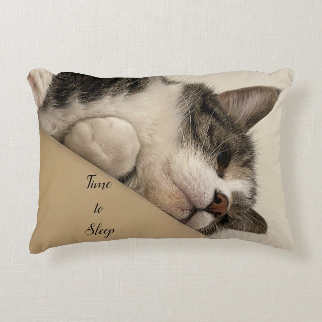 Heure du sommeil Coussin de chats (Devant)