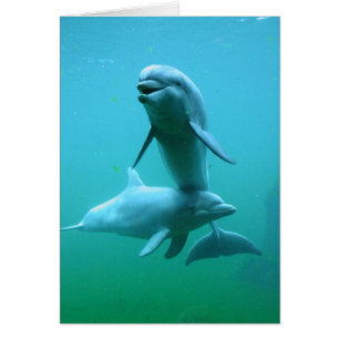 Heures de récréation