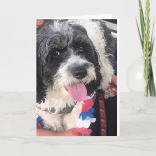 **HEUREUSE 8e anniversaire** Carte (Devant)