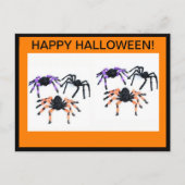 HEUREUSE CARTE POSTALE HALLOWEEN AVEC DES ESPIDERS (Devant)