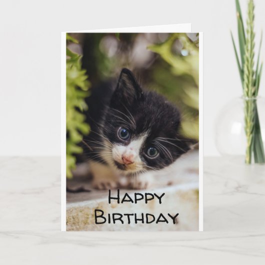 **HEUREUX 7ème anniversaire de KITTY** Carte (Devant)