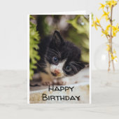 **HEUREUX 7ème anniversaire de KITTY** Carte (Fleur jaune)
