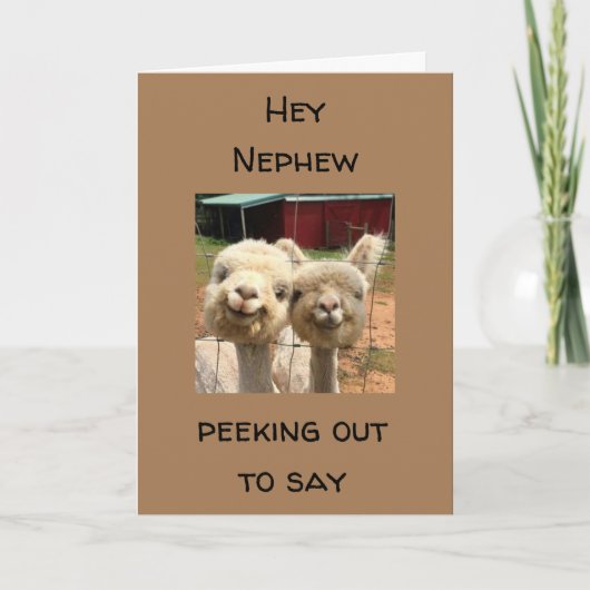 HEUREUX *ANNIVERSAIRE* À MA CARTE *NEPHEW* (Devant)