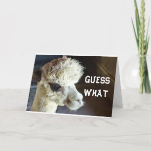 HEUREUX *ANNIVERSAIRE* DIRE CARTE DE LAMA