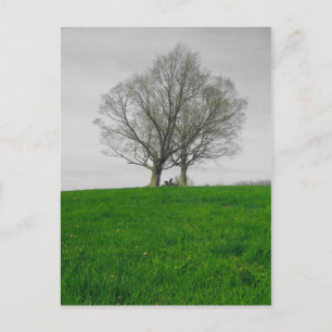 heuvel briefkaart