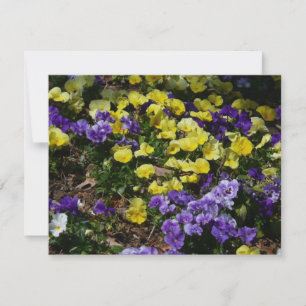 Heuvel met paarse en gele viooltjes