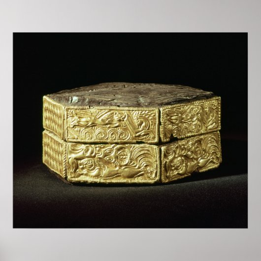 Hexagonale pyxis gedecoreerd met dieren poster (Voorkant)