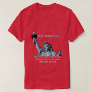 Hey America (Lady Liberty) - een MisterP Shirt