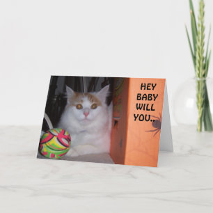 HEY BABY, ZULT U MIJN VALENTIJN ZEGGEN KITTEN FEESTDAGEN KAART